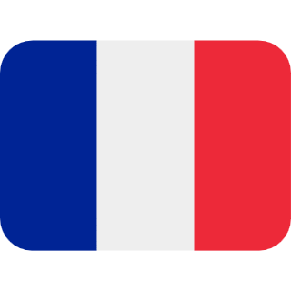 Paris flag