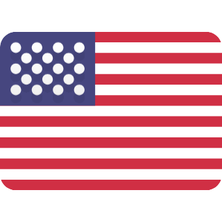 New York flag